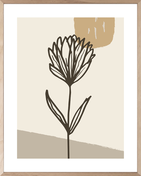 Lámina Botánica Minimalista de Flor