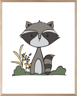 Lámina Animales Mapache